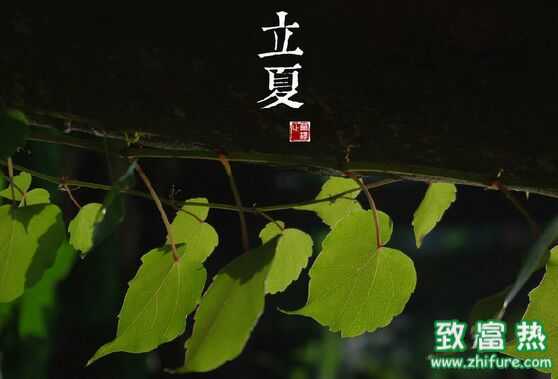 立夏養生六法則