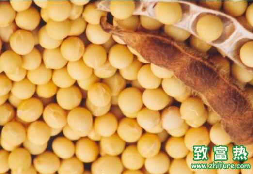 三類保護(hù)血管的食物 讓血管永遠(yuǎn)年輕