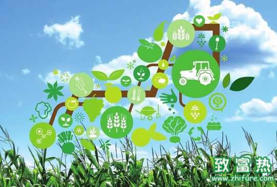 怎么才能合理利用互聯網為農業創業加速