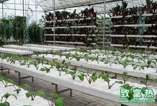 十年后的農業是什么樣子?