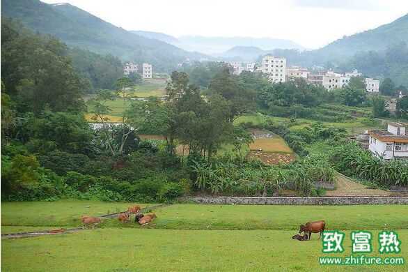 2017年農(nóng)村小本創(chuàng)業(yè)可行性項(xiàng)目有哪些？