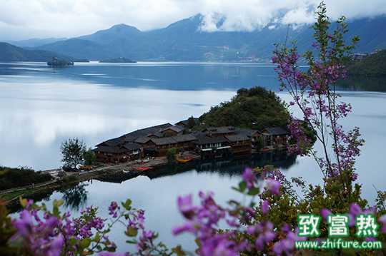 云南適合種植的經濟作物和花卉有哪些？