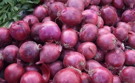 2017種洋蔥前景及市場價格行情分析