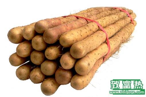 2017種山藥賺錢嗎？2017種山藥前景及市場價格行情分析