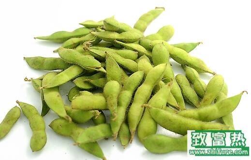 2017種毛豆賺錢嗎？2017種毛豆前景及市場(chǎng)價(jià)格行情分析