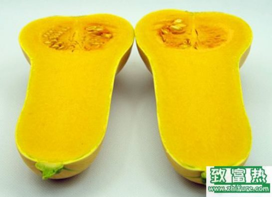 奶油南瓜的種植