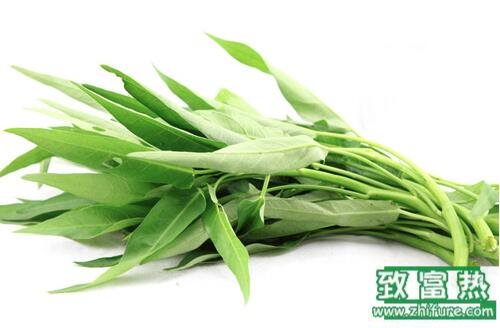 2017種空心菜賺錢嗎？2017種空心菜前景及市場價格行情分析