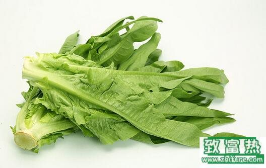 2017種油麥菜賺錢嗎?2017種油麥菜前景及市場價格行情分析