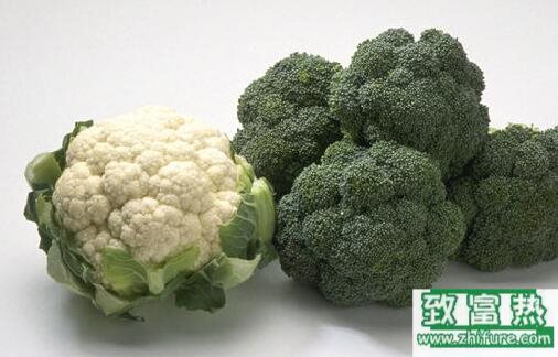 2017種花椰菜賺錢嗎?2017種花椰菜前景及市場價格行情分析