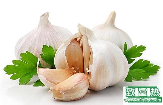 2017種大蒜賺錢嗎？2017種大蒜前景及市場(chǎng)價(jià)格行情分析