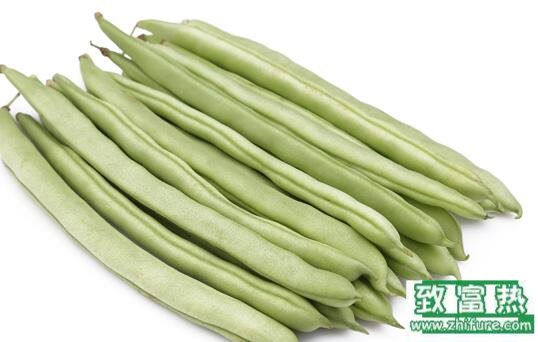 2017種蕓豆賺錢嗎？2017種蕓豆前景及市場價格行情分析