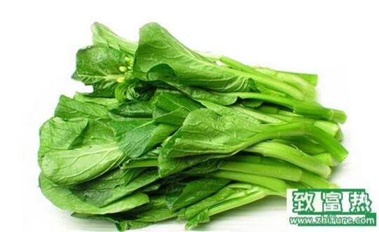 2017種油菜賺錢嗎？2017種油菜前景及市場價格行情分析