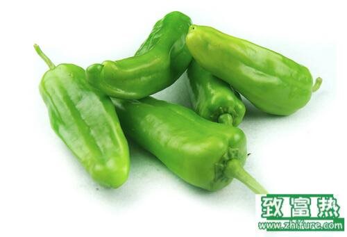 2017種青椒賺錢嗎？2017種青椒前景及市場價格行情分析