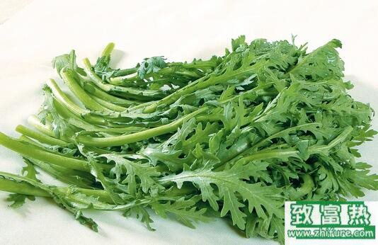 2017種茼蒿賺錢嗎？2017種茼蒿前景及市場價格行情分析