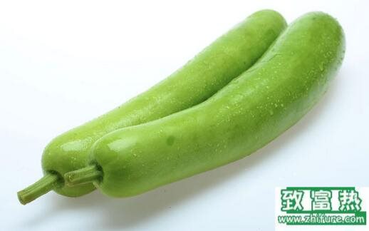 2017種瓠子賺錢嗎？2017種瓠子前景及市場價格行情分析