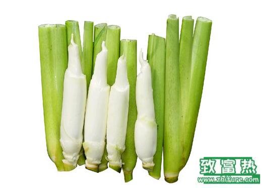 2017種茭白賺錢嗎?2017種茭白前景及市場價格行情分析