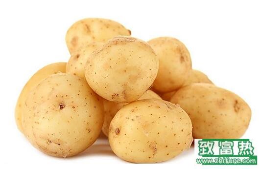 2017種馬鈴薯賺錢嗎？2017種馬鈴薯前景及市場價格行情分析