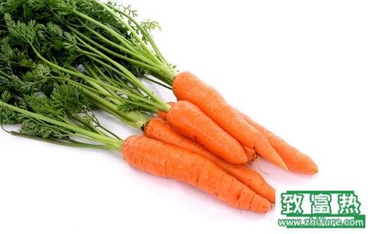 2017種胡蘿卜賺錢嗎？2017種胡蘿卜前景及市場價格行情分析