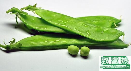 2017種荷蘭豆賺錢嗎？2017種荷蘭豆前景及市場價格行情分析