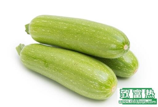 2017種西葫蘆賺錢嗎？2017種西葫蘆前景及市場價格行情分析