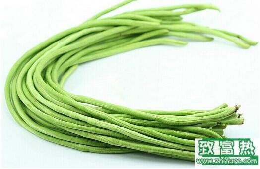 2017種豆角賺錢嗎？2017種豆角前景及市場價格行情分析