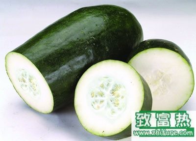 2017種冬瓜賺錢嗎？2017種冬瓜前景及市場價格行情分析