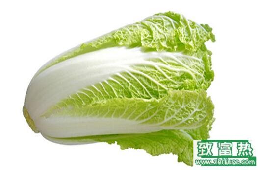 2017種白菜賺錢嗎？2017種白菜前景及市場價格行情分析