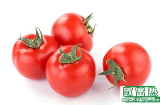 2017種番茄賺錢嗎？2017種番茄前景及市場價格行情分析
