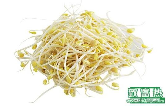 2017種豆芽賺錢嗎？2017種豆芽前景及市場價格行情分析