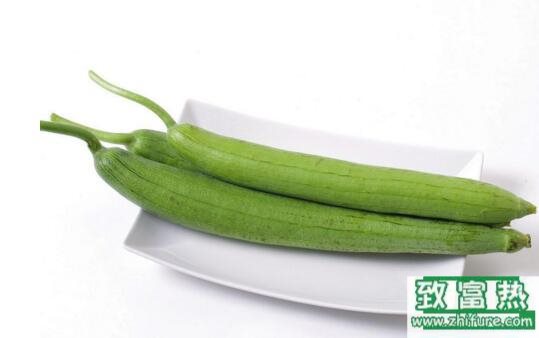 2017種絲瓜賺錢嗎？2017種絲瓜前景及市場價格行情分析