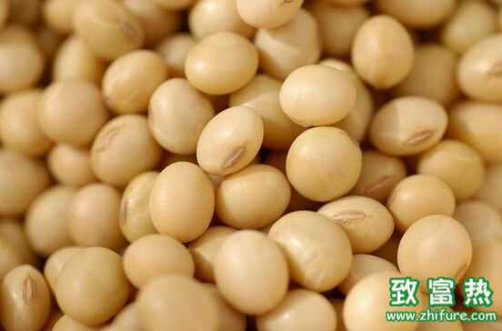大豆的功效與作用 醋泡黃豆的做法
