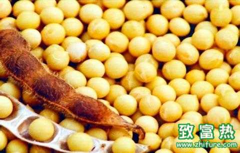 大豆的功效與作用 醋泡黃豆的做法