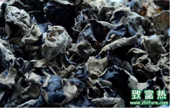 木耳產品的加工