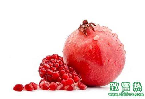 2017種石榴賺錢嗎？2017種石榴前景及市場價格行情分析