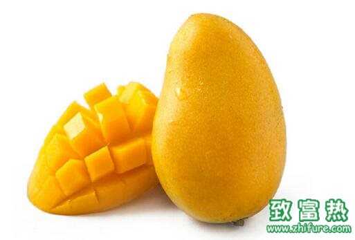 2017種芒果賺錢嗎？2017種芒果前景及市場價格行情分析