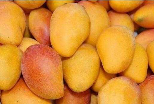 2017種芒果賺錢嗎?2017種芒果前景及市場價格行情分析