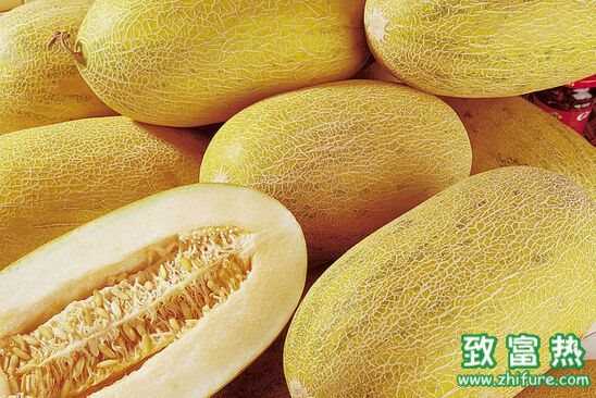 哈密瓜屬于熱性還是涼性水果？哈密瓜能不能放冰箱儲存？