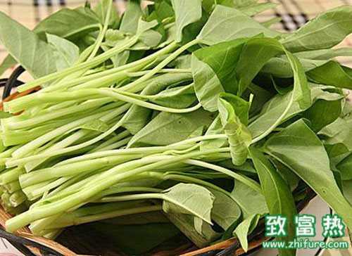 空心菜怎么才能徹底清洗干凈？