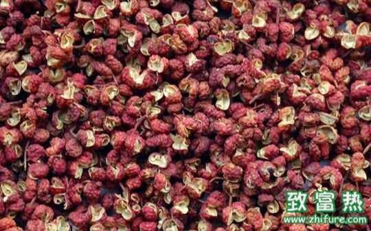 花椒的功效與作用 花椒治痔瘡