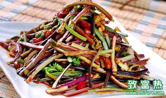 蕨菜致癌是真的嗎？孕婦可以吃蕨菜嗎？