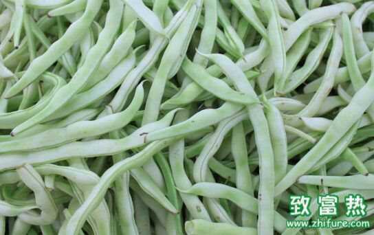 蕓豆沒(méi)炒熟會(huì)有毒嗎？蕓豆其實(shí)就是四季豆