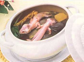 蛤蚧的功效與作用 蛤蚧怎么吃