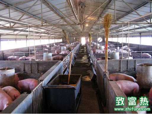 畜禽養殖禁養區科學劃定