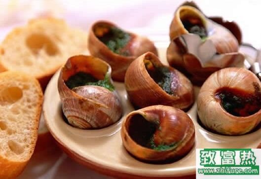 蝸牛是益蟲還是害蟲，蝸牛可以吃嗎