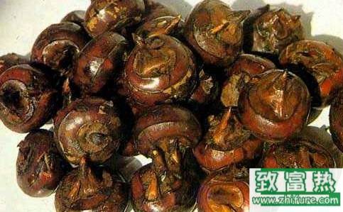 荸薺怎么讀？荸薺和馬蹄是同一種東西嗎？