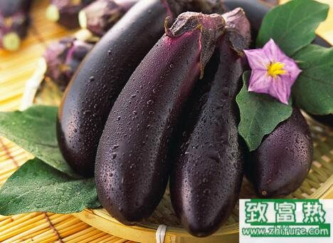 2017種茄子賺錢嗎？2017種茄子前景及市場價格行情分析