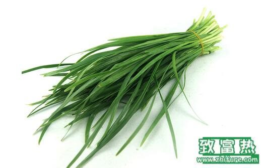 2017種韭菜賺錢嗎？2017種韭菜前景及市場價格行情分析