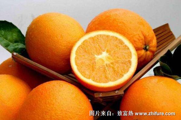 澳洲臍橙價格多少錢一斤