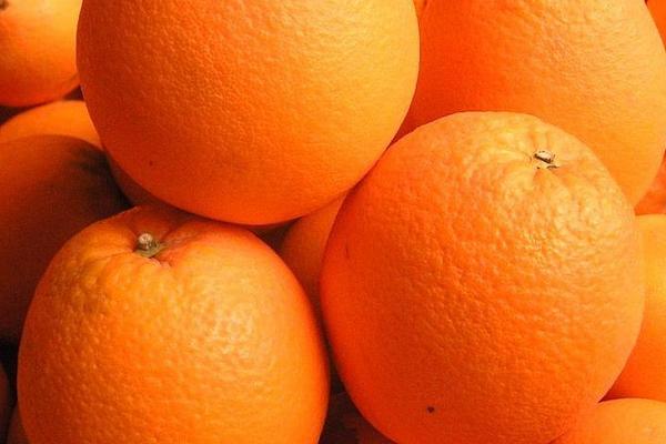 澳洲臍橙價格多少錢一斤