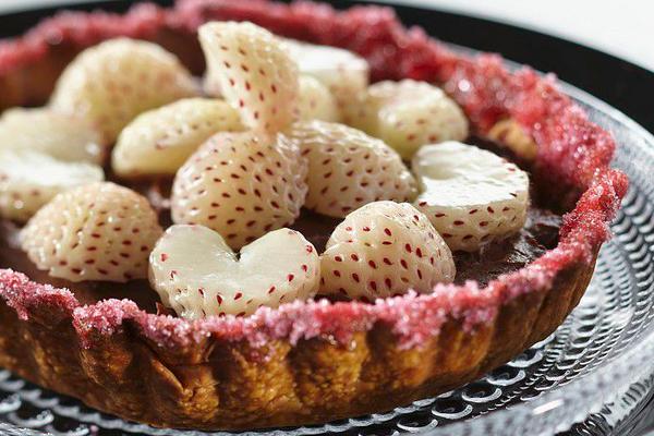 菠蘿莓價格多少錢一斤